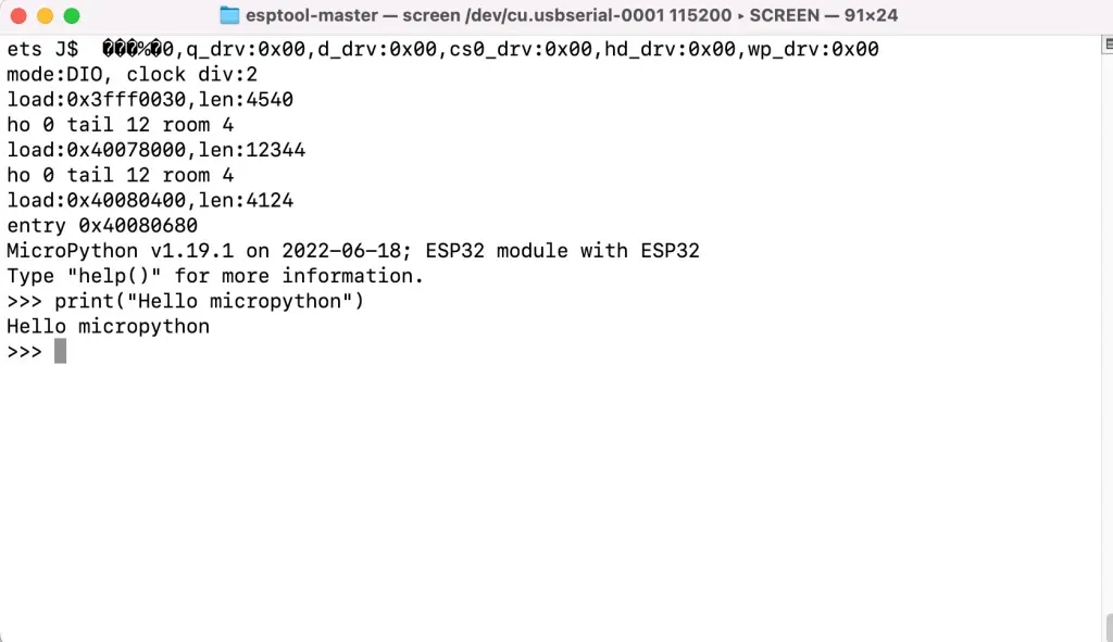  micropython interactive prompt 